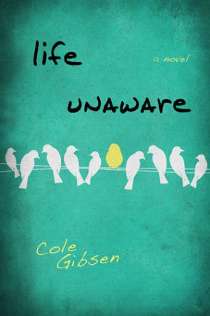 Life Unaware by Cole Gibsen Life Unaware by Cole Gibsen